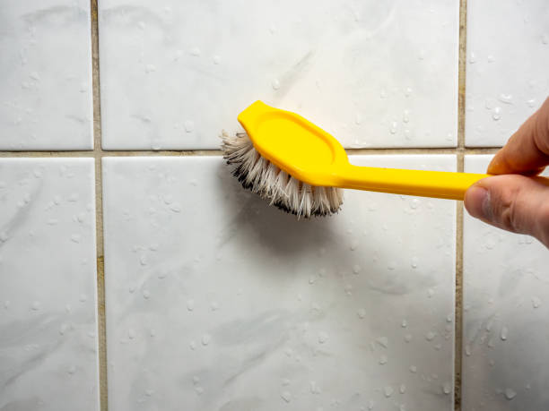 Best Local Mold Removal Service  in Hagerstown, IN