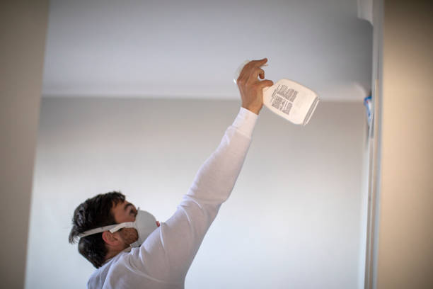 Best Affordable Mold Removal  in Hagerstown, IN