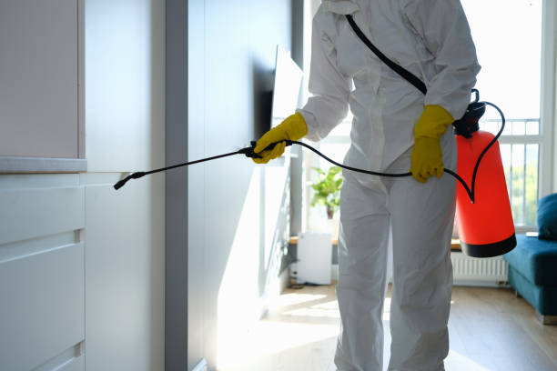 Best Mold Remediation  in Hagerstown, IN