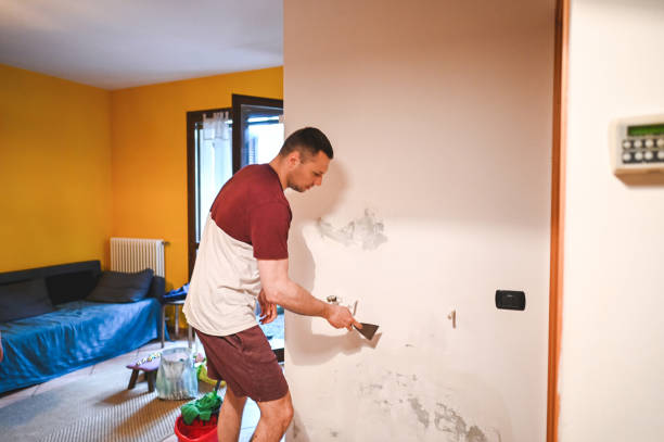 Best Fast Mold Removal  in Hagerstown, IN